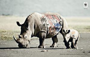 banner ad design wwf 