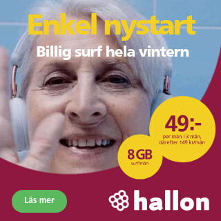 Hallon-display-ad-winter