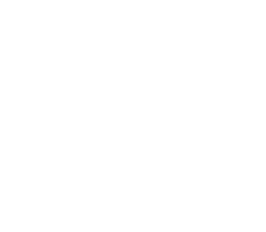 Virgin-WHITE